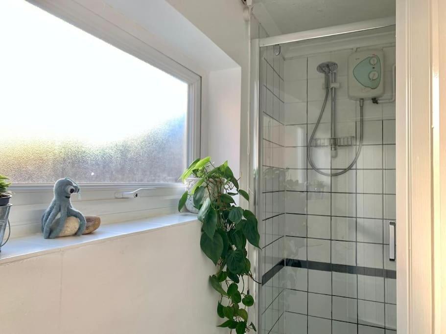 Cute Cottage 4 Mins From Cafes Station And Sea St Leonards-on-Sea Buitenkant foto
